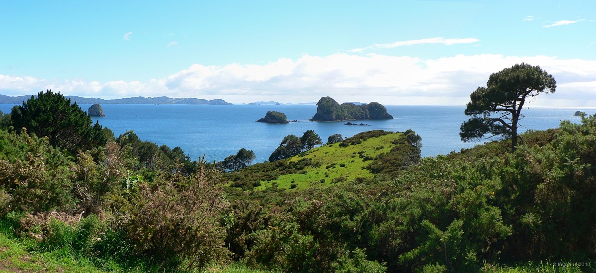 4.1- Mercury bay dans la presqu'ile de Coromandel.JPG